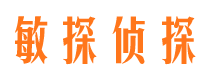 峨山侦探公司